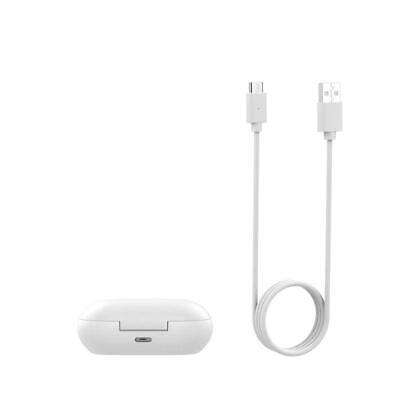 USB Rechargeable Charging Case for Samsung Galaxy Buds+ & Buds, SM-R175 & SM-R170 Headphones