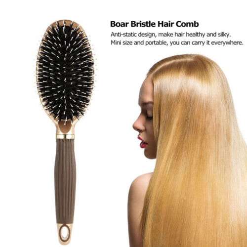 Boar Bristle Massage Scalp Hair Brush: Detangle & Stimulate for Healthy Hair Growth
