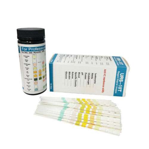 Accurate 10-Parameter Urinalysis Test Strips for Convenient Urine Analysis - Bulk Pricing Available
