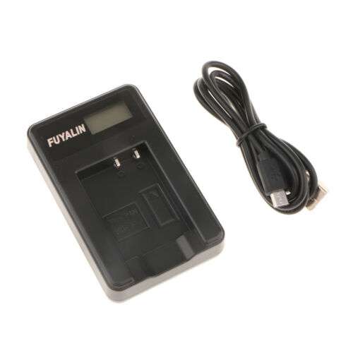 USB Camera Battery with LCD Screen Display for BCG10 - Extend Your Recording Time