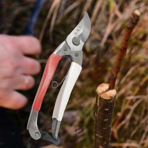 Garden Shear Hand Pruners for Flowers, Bushes, Bonsai, and Trees Trimming.