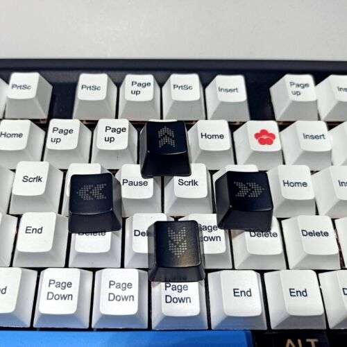 ABS OEM Backlit Keycaps: Enhance Your Mechanical Keyboard with Direction Keys