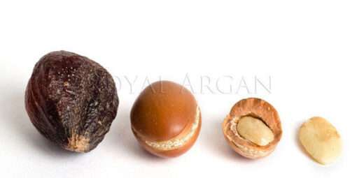Amazing 100% Pure Organic Argan Oil for Hair, Skin & Body - Finest Moroccan Quality - Image 5