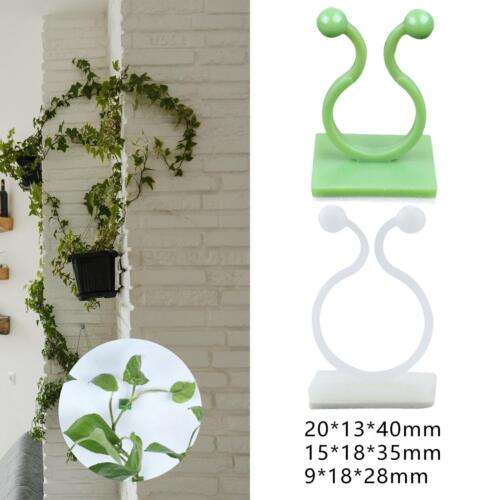 10Pcs Wall Rattan clamp, Plant Vine Traction Plant Clips Plant Fixer Plant  – NILGIRI STORES