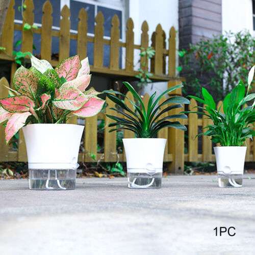 Indoor Plants Outdoor Garden Flower Pot Modern Orchid Self Watering Double  Layer – NILGIRI STORES