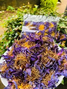 Blue Lotus Nymphaea Caerulea Handpicked Dried Flower for Natural Herbal Tea 5g