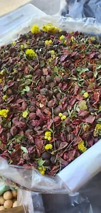 Uzbekistan Mountain Tea: Organic, Handmade Herbal Tea for Relaxation and Well-being