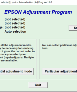 Digital Epson Reset for Model L5190: 100% Guaranteed Functioning