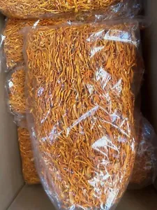 Enrich Your Culinary Delights with Whole Cordyceps Flower Dried Edible Mushrooms (500 Grams)
