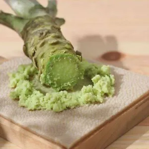 Organic Heirloom Japanese Horseradish Wasabi Seeds: 600-Seed Pack for Spicy Culinary Delights