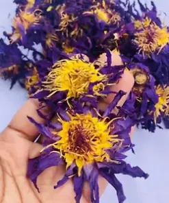 Organic Blue Lotus Flower (Nymphaea Caerulea): Whole, Dried, Hand-Picked Goodness