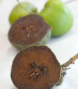 Discover the Sweet Sensation: Organic Black Sapote Persimmon Seeds for a Chocolatey Delight