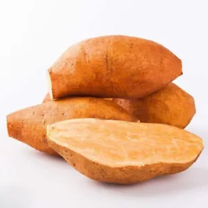 Premium Organic Sweet Potato Seeds: 20 Heirloom Yellow Koali Ipomoea Batatas