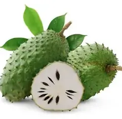 Organic Soursop Seeds: 30+ Guanabana Annona Muricata Graviola Ceylon Fruit Plant for Gardeners