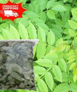 Organic Gliricidia Sepium Dried Leaves: Enrich Your Soil for Thriving Plants