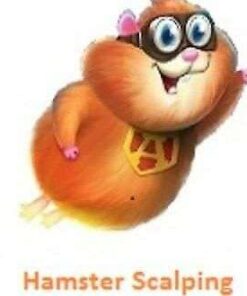 Hamster Scalping EA: Fully Automated Expert Advisor for M1 Chart