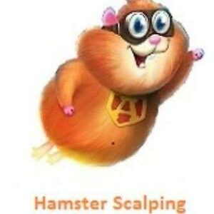 Hamster Scalping EA: Fully Automated Expert Advisor for M1 Chart