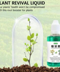 മെച്ചപ്പെട്ട സസ്യവളർച്ചയ്ക്കുള്ള മിറാക്കിൾ റൂട്ട് ബൂസ്റ്റർ: ഇൻഡോർ സസ്യങ്ങൾക്കും സക്കുലന്റുകൾക്കും 50 മില്ലി എലിക്സിർ