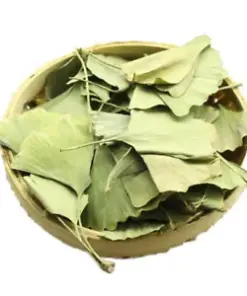 Organic Ginkgo Biloba Tea Leaves: Enhance Memory and Focus with Ancient Herbal Goodness