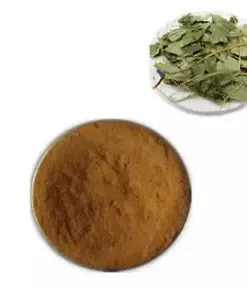 Horny Goat Weed Extract Powder 40% Icariin Epimedium Stamina Performance Energy