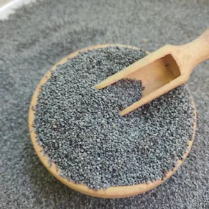 Blue Poppy Seeds: Enhance Your Culinary Creations with Vibrant Flavor and Aroma