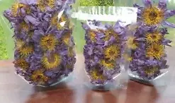 Aromatic Blue Lotus Flower Tea: 100% Organic Nymphaea Caerulea for Relaxation and Well-being