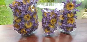 Aromatic Blue Lotus Flower Tea: 100% Organic Nymphaea Caerulea for Relaxation and Well-being