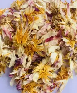 Harmonizing Herbal Serenity: Natural Ceylon White Lotus Dried Flowers for Tranquility and Wellness