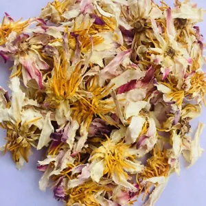 Harmonizing Herbal Serenity: Natural Ceylon White Lotus Dried Flowers for Tranquility and Wellness