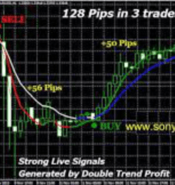 Advanced MT4 Forex Trading System: Double Trend Profit Indicator for Accurate Market Analysis
