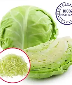 Dehydrated Organic Cabbage Slices: Pure, Natural, and Nutrient-Rich Superfood