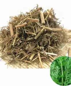 Artemisia Annua Natural Herbal Tea: 100g of Premium Dried Herbs for Traditional Chinese Medicine