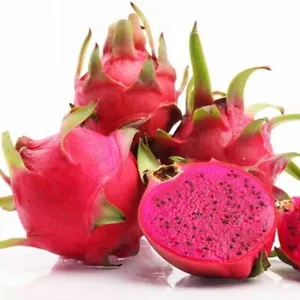 Enrich Your Garden: 200 Red Dragon Fruit Seeds for Succulent, Pitaya Delights