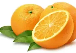 Organic Citrus Duo: 30 Orange and Tangerine Seeds for Refreshing Homegrown Fruits