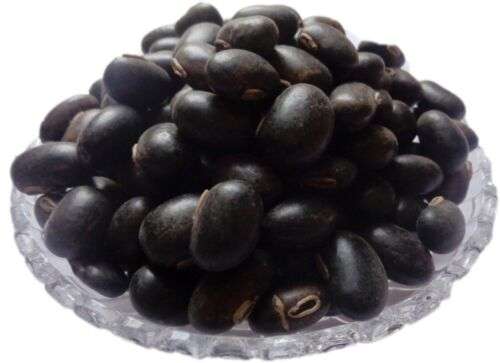 Organic Black Kauch Seeds (Mucuna Pruriens) for Enhanced Energy & Vitality
