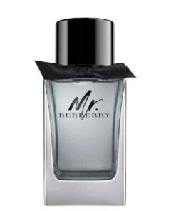 Mr. Burberry Pour Homme: An Aromatic Woody Fragrance for Modern Gentlemen