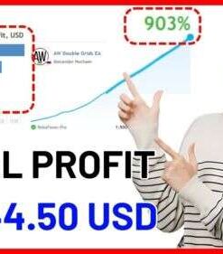 Aw Double Grids V3.0 EA Robot Forex: Unlimited Version MT4 + H1 Set File
