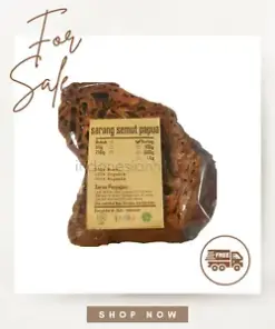 Premium Ant's Nest Sarang Semut: Organic Herb Spice for Holistic Well-being