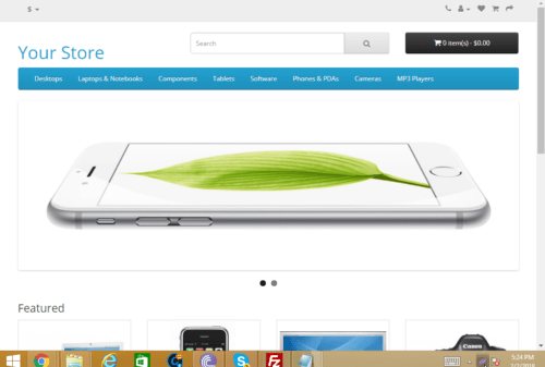 Stunningly Designed Online Store Website with Complimentary Hosting and Installation