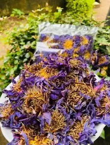 Blue Lotus Nymphaea Caerulea Handpicked Dried Flower for Natural Herbal Tea 5g