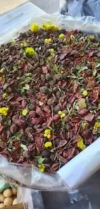 Uzbekistan Mountain Tea: Organic, Handmade Herbal Tea for Relaxation and Well-being