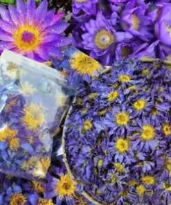 Botanical Bliss: Pure Ceylon Blue Lotus Water Lily, Handpicked for Serene Solace 50g