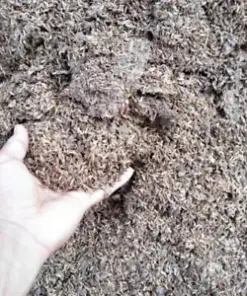 Organic Chicken Manure Compost Enriches Soil for Thriving Plants