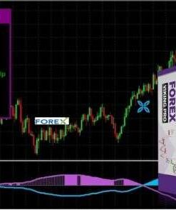 Professional FOREX Trading Indicator - FOREX VIKING PRO