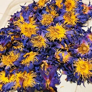 Premium Dried Blue Lotus Flowers - Nymphaea Caerulea - 100% Pure & Natural, 25g